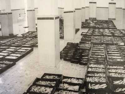 Per decenni fu questo il posto dove si vendeva e si comprava il pescato di giornata